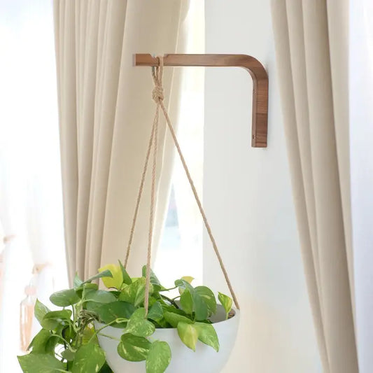 Walnut & Birch Wall Hanger