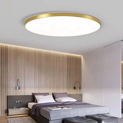 Beautiful Led Ceiling Lamp Modern Ceiling Chandelier 48W 36W 24W Ceiling Fixture Lights for Bedroom Kitchen Bathroom Dining Room Beautiful Vibe to Any room.